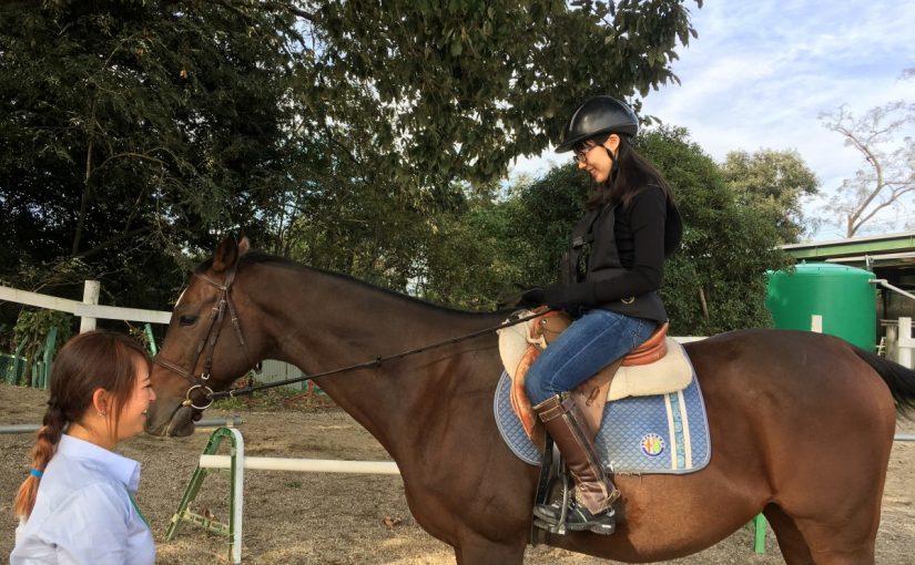〜徒然 乗馬日記〜（愛知県豊田市）