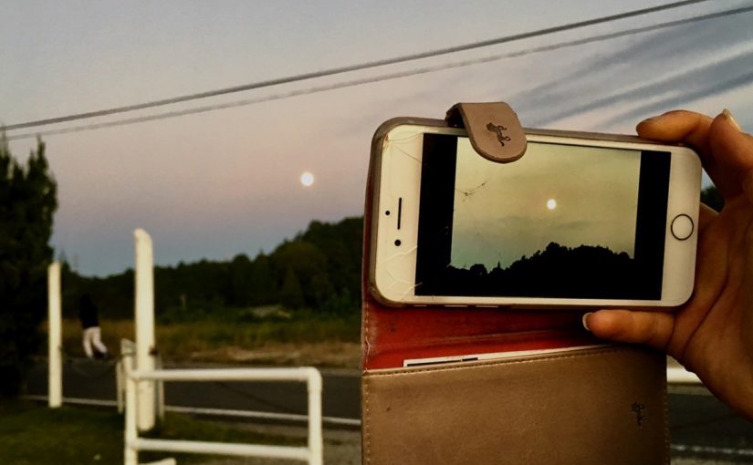 ☆新人　もりchan日記☆（愛知県豊田市）