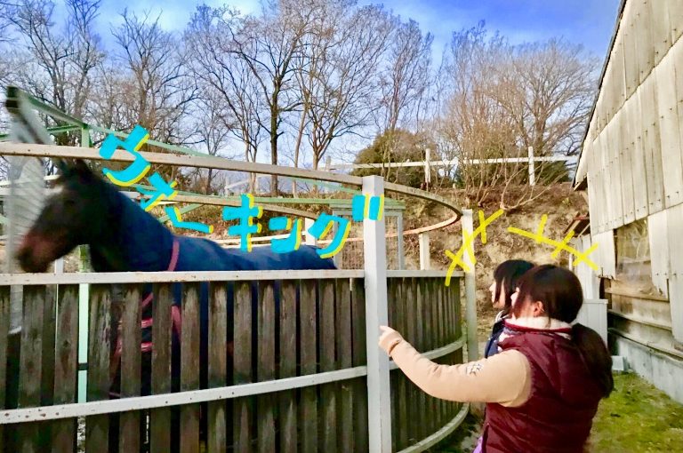 ☆新人　もりchan日記☆（愛知県豊田市）