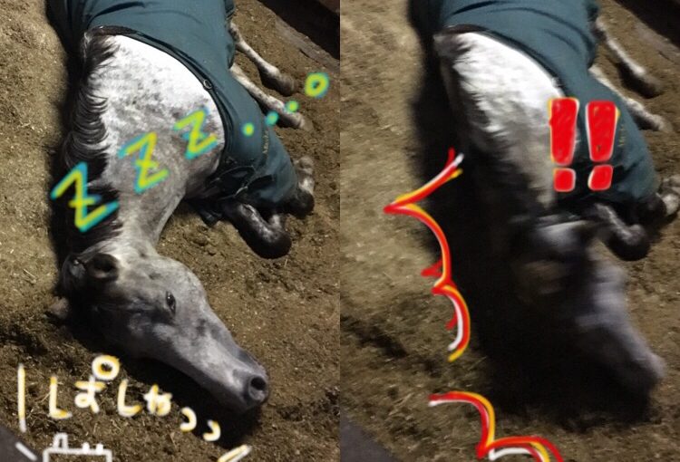 ☆新人　もりchan日記☆（愛知県豊田市）