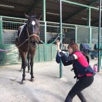 ☆新人 もりchan日記☆(愛知県豊田市)