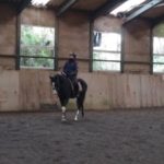 レッスン前に馬の調整です！