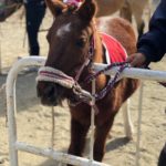 【鶴見緑地】毎月おめかししてお待ちしています♪