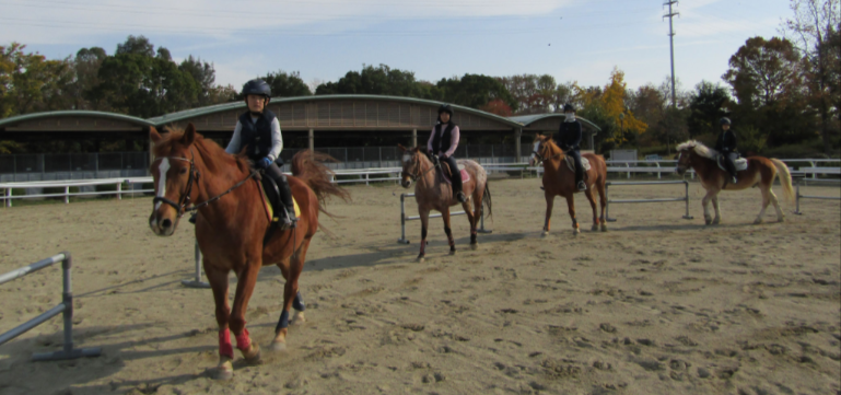 馬に揺られて心と体のリフレッシュ！