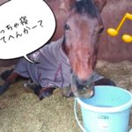 馬たちも…