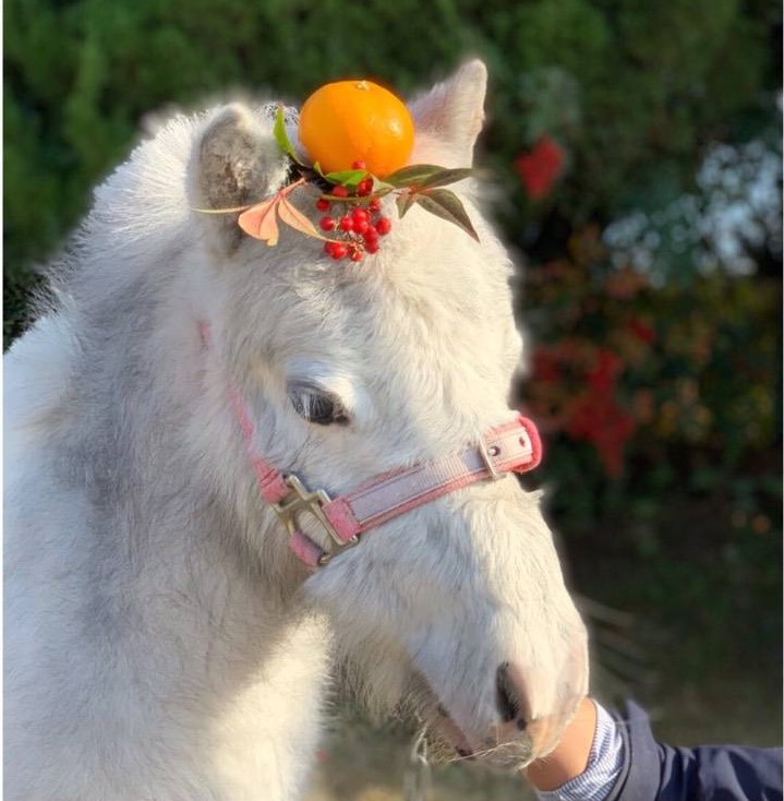 この画像には alt 属性が指定されておらず、ファイル名は 344150-1.jpg です