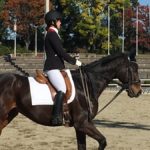 乗馬の姿勢って？