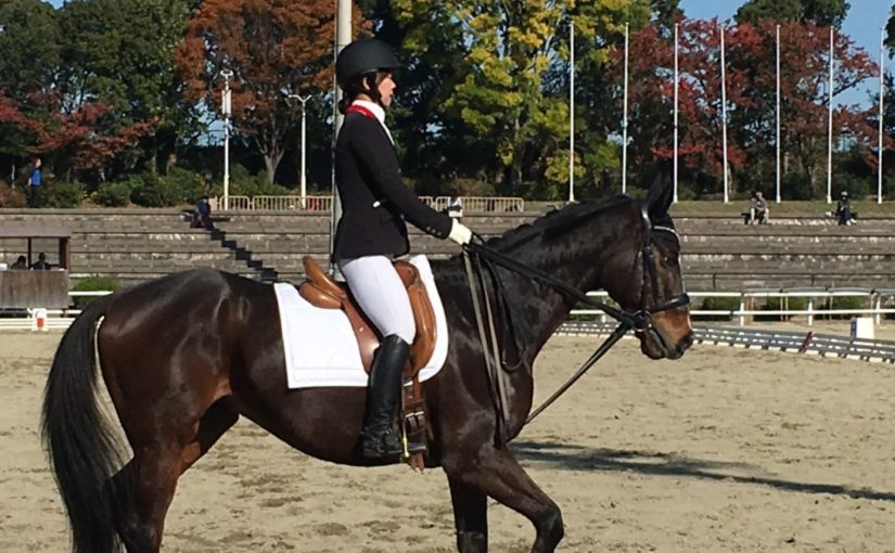 乗馬の姿勢って？