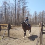 外乗へ行こう！