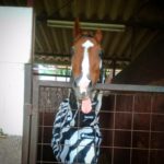 エルミオーレ茨城のジュニア達