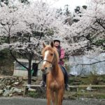 桜を見ながら馬に乗る!
