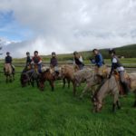 馬の瞳、走りに魅かれて!